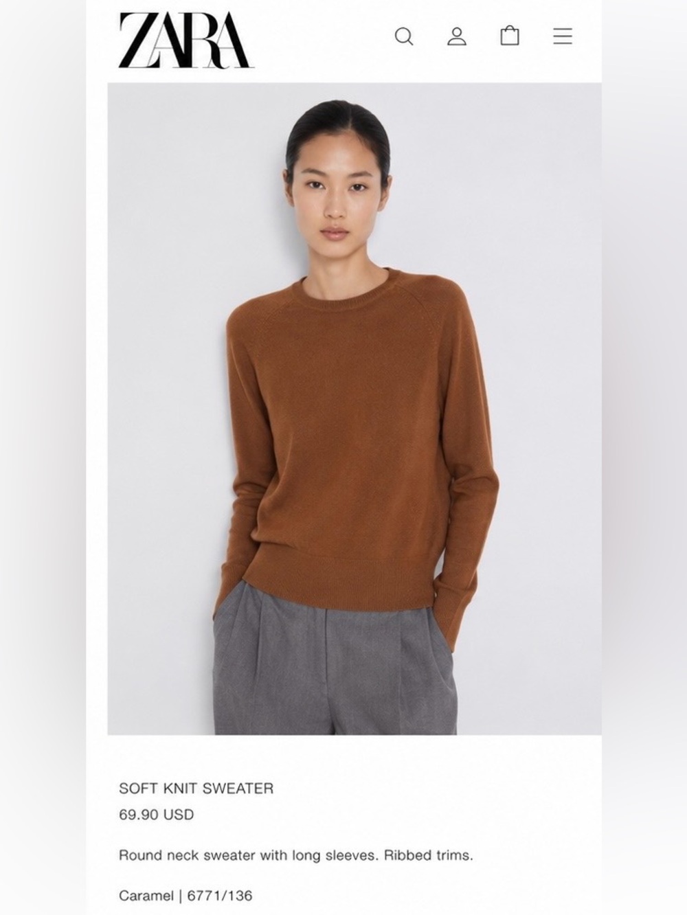 Zara Lightweight Sheer Knit Sweater – Brown – Size Small